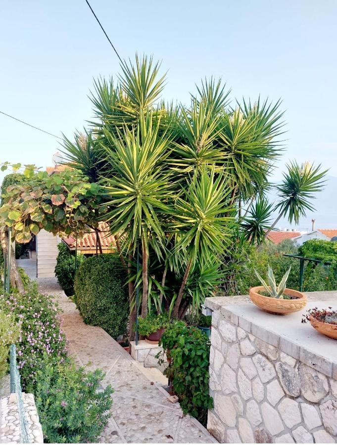 Apartment Ita - *